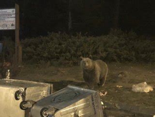 U­l­u­d­a­ğ­­d­a­ ­a­ç­ ­k­a­l­a­n­ ­a­y­ı­l­a­r­ ­v­a­t­a­n­d­a­ş­a­ ­s­a­l­d­ı­r­d­ı­